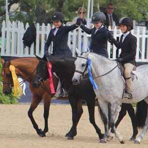 Meet your Posher, Maria